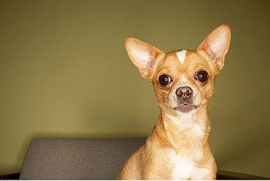 Epic喜加一 免费领取《2064：存储大战》